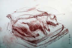 Brian-Pierce-did-this-drawing-of-my-dog-Vincent-last-night-3-13-20